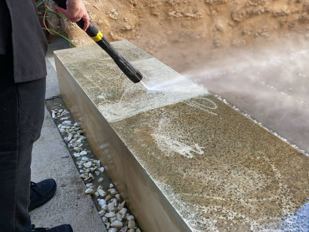 Best Roof Power Washing Services  in Elgin, SC